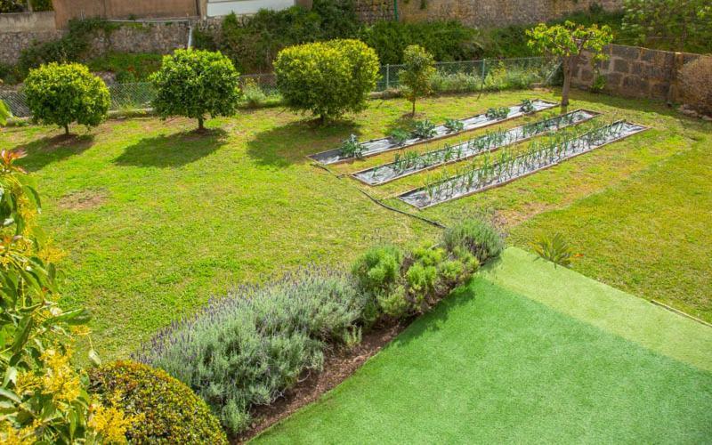 Sa Fita Backpackers - Juvenil Esporles