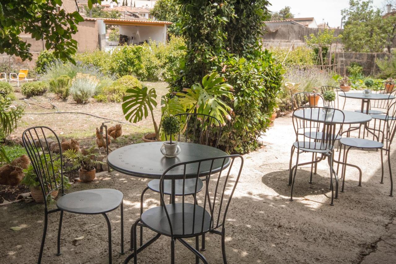Hostel Sa Fita Backpackers - Juvenil Esporles