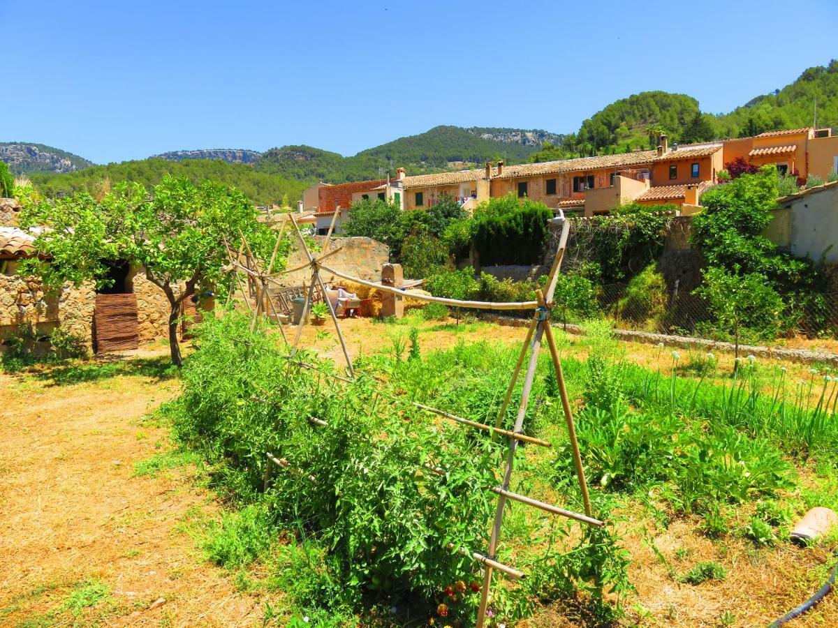 Sa Fita Backpackers - Juvenil *