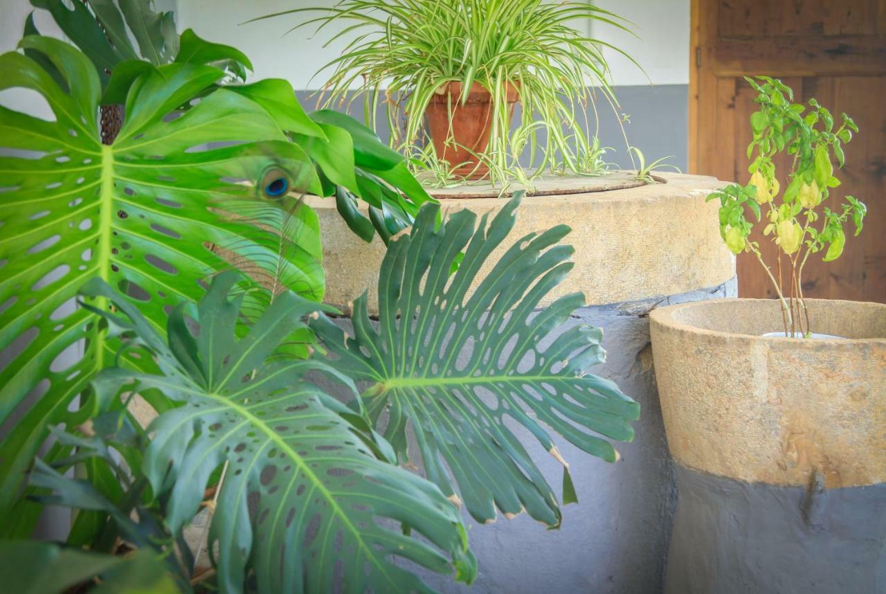 Hostel Sa Fita Backpackers - Juvenil